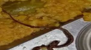 ബിഹാറിൽ സ്കൂൾ ഭക്ഷണത്തിൽ ചത്ത പാമ്പ്; കുട്ടികൾക്ക് ദേഹാസ്വാസ്ഥ്യം