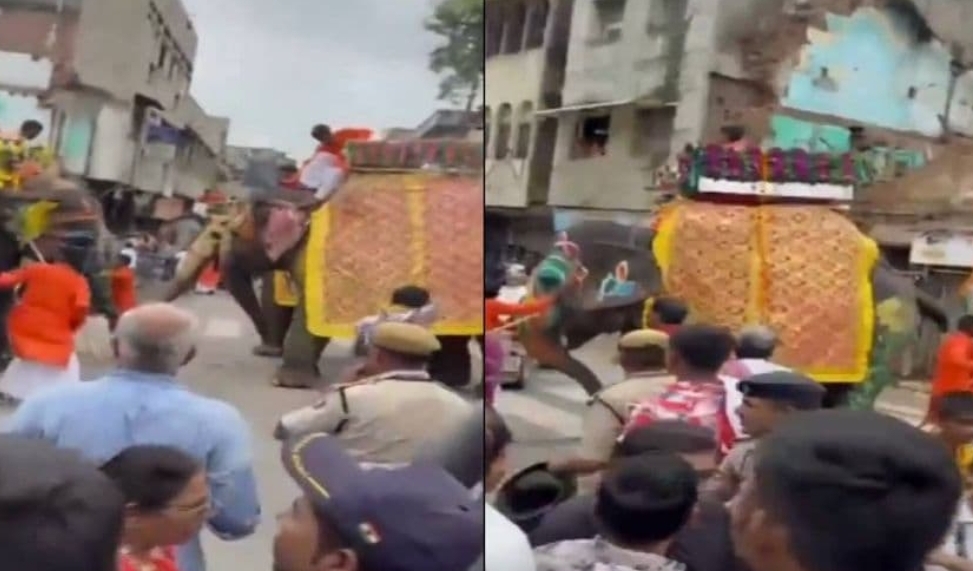 രഥയാത്രയ്ക്ക് കൊണ്ടുവന്ന 18 ആനകളിൽ ഒന്ന് ഇടഞ്ഞ് പരിഭ്രാന്തി പരത്തി
