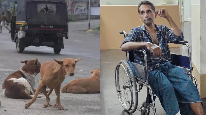 പത്തനംതിട്ടയിൽ തെരുവ് നായ ആക്രമണം