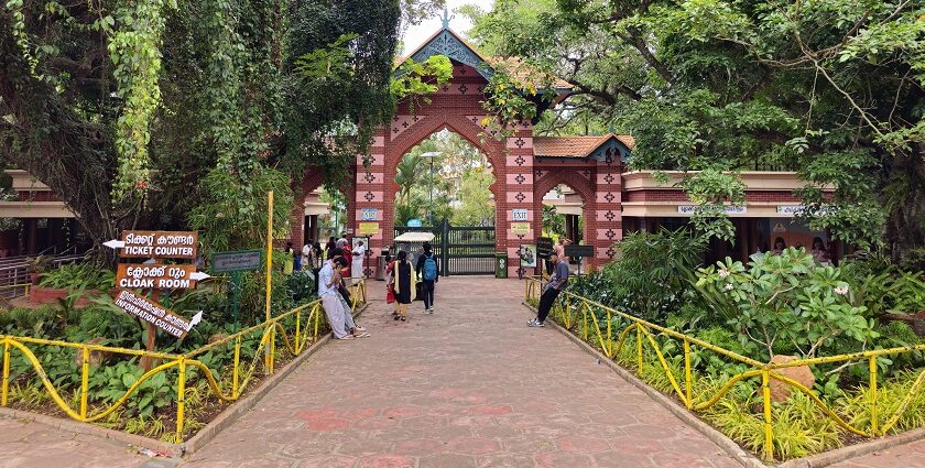 തിരുവനന്തപുരം മൃഗശാലയിൽ പുള്ളിപ്പുലി ആക്രമിച്ച ജീവനക്കാരൻ്റെ ചികിത്സയിൽ വീഴ്ച