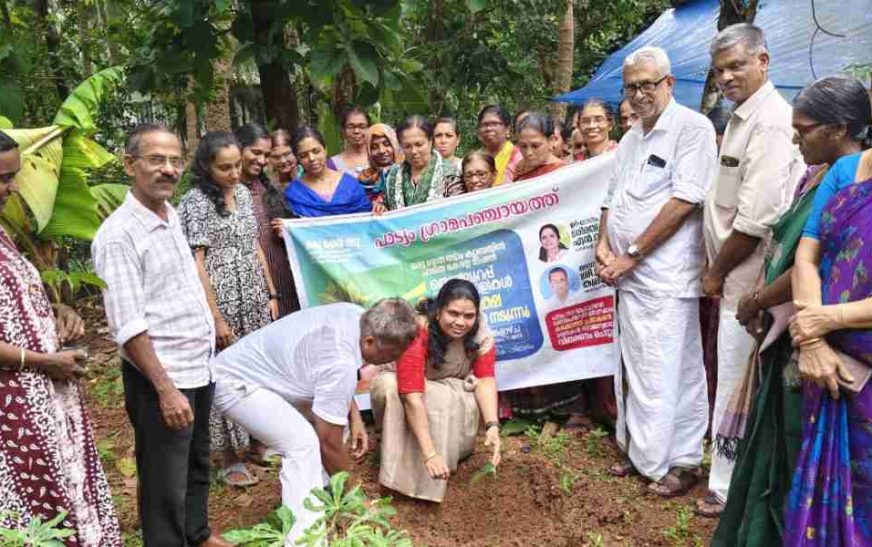 പാട്യം പഞ്ചായത്തിൽ’ഒരു തൈ നടാം’ ക്യാമ്പയിൻ 