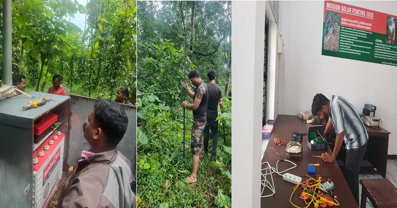 സൗരവേലിയുടെ തകരാറുകൾ പരിഹരിച്ച് വനം വകുപ്പിന്റെ സോളാർ ഫെൻസ് സർവീസ് സെന്റർ