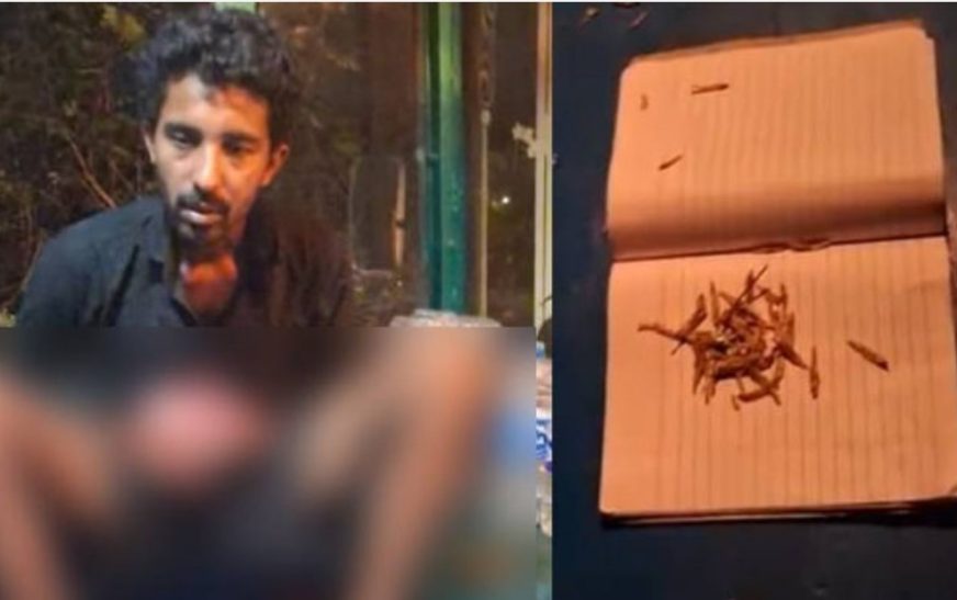 വളർത്തുപൂച്ചയെ കഴുത്തറുത്ത് കൊല്ലുന്നത് ഇൻസ്റ്റാഗ്രാം സ്റ്റോറിയാക്കി യുവാവ്