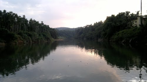 ശക്തമായ മഴ; ഇരുവഴിഞ്ഞി പുഴയിൽ മലവെള്ള പാച്ചില്‍