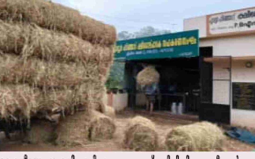 ഗ്രാമത്തിന്റെ ‘പാല്‍ക്കുടമാകാന്‍’ വെട്ടിക്കവല ബ്ലോക്ക് പഞ്ചായത്ത് :കൊല്ലം