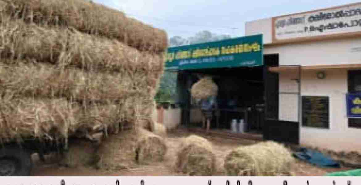 ഗ്രാമത്തിന്റെ ‘പാല്‍ക്കുടമാകാന്‍’ വെട്ടിക്കവല ബ്ലോക്ക് പഞ്ചായത്ത് :കൊല്ലം