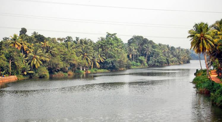 അപകടകരമായ രീതിയിൽ ജലനിരപ്പുയരുന്നു; അച്ചൻകോവിൽ നദിയിൽ യെല്ലോ അലെർട്ട്