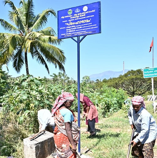 പേഴുംകര സ്‌നേഹാരാമത്തില്‍ പരിപാലനം സജീവം