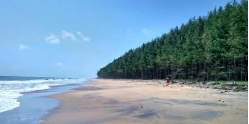 പ​ഞ്ച​വ​ടി ബീ​ച്ചി​ൽ വ​ൻ അ​ഗ്നി​ബാ​ധ