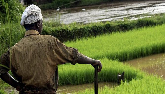 കാർഷിക മേഖലക്ക് ഊന്നൽ നൽകി വടകര നഗരസഭ വികസന സെമിനാർ