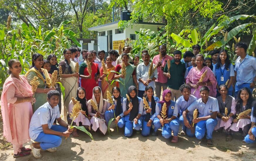 ചെറുതല്ല ചെറുധാന്യങ്ങൾ: ജില്ലയിലെ ആദ്യ മണിച്ചോള കൃഷി വിളവെടുത്തു