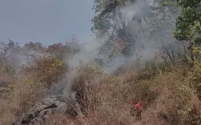 കക്കയം വനമേഖലയില്‍ വന്‍ തീപ്പിടിത്തം