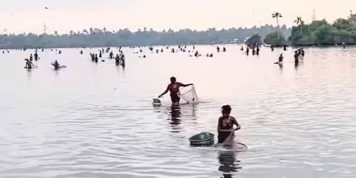 ഏത് തരം വേണം,എല്ലാം ഇവിടെയുണ്ട്; എഴുപുന്ന-നീണ്ടകര മേഖലയിൽ ഇനി കെട്ടുകലക്കലിന്റെ നാളുകൾ