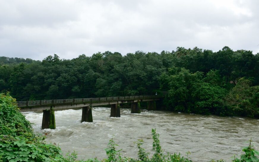 ചെറുവള്ളിയിൽ മണിമലയാറിന്റെ തീരം ഇടിഞ്ഞ നിലയിൽ