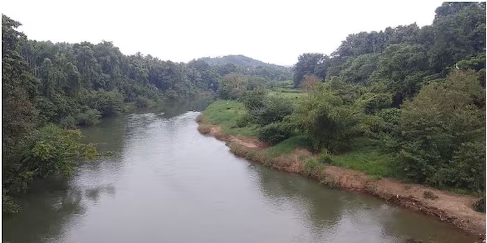 ഇരുവഴിഞ്ഞിപ്പുഴയില്‍ കുളിക്കാനിറങ്ങിയ വിദ്യാര്‍ഥികള്‍ക്ക് നീര്‍നായകളുടെ ആക്രമണം; 3 വിദ്യാര്‍ഥികള്‍ക്ക് കടിയേറ്റു