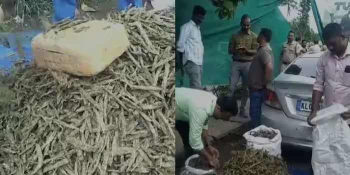 തൃശ്ശൂരിൽ വൻ കഞ്ചാവ് വേട്ട; നൂറു കിലോ കഞ്ചാവുമായി രണ്ടുപേര്‍ പിടിയിൽ