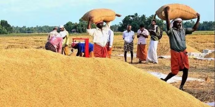 കർഷകർക്ക് ആശ്വാസവാർത്ത; 14 ഖാരിഫ് വിളകളുടെ താങ്ങുവില വർധിപ്പിച്ച് കേന്ദ്ര സർക്കാർ