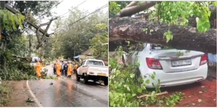 കനത്ത മഴ; ഇടുക്കി ജില്ല അതീവ ജാഗ്രതയിലേക്ക്, അടിയന്തര സാഹചര്യങ്ങളുണ്ടായാൽ നേരിടാനുള്ള മുന്നൊരുക്കത്തിൽ ജില്ലാ ഭരണകൂടം