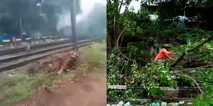 എറണാകുളത്ത് റെയിൽവെ ട്രാക്കിലേക്ക് മരം ഒടിഞ്ഞുവീണു; ട്രെയിൻ ഗതാഗതം തടസ്സപ്പെട്ടു