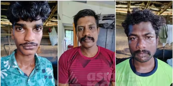 കൊല്ലം പുനലൂരിൽ 30 കിലോ കഞ്ചാവുമായി കാപ്പ കേസ് പ്രതി ഉൾപ്പെടെ 3 പേർ പിടിയിൽ