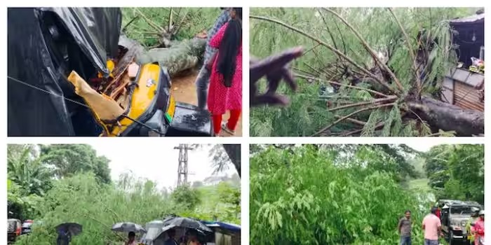 നിർത്തിയിട്ടിരുന്ന ഓട്ടോറിക്ഷക്ക് മുകളിലേക്ക് മരത്തിന്റെ കൊമ്പ് ഒടിഞ്ഞു വീണ് മൂന്ന് വിദ്യാർത്ഥികളടക്കം നാലു പേർക്ക് നിസാര പരുക്കേറ്റു