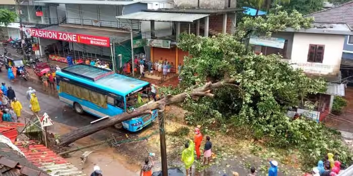 വർഷങ്ങളായി നാട്ടുകാർ മുറിക്കണമെന്ന് ആവശ്യപ്പെട്ടിട്ടും നടപടിയുണ്ടായില്ല; മലപ്പുറത്ത് ഓടുന്ന ബസിന് മുകളിൽ മരം വീണ് കണ്ടക്ടർക്ക് പരിക്ക്