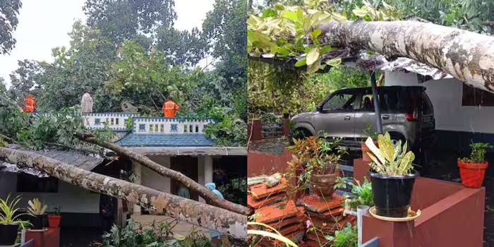 കനത്ത മഴയിലും കൊടുങ്കാറ്റിലും ഇടുക്കിയിൽ വ്യാപക നാശനഷ്ടം; നിരവധി വീടുകൾക്ക് മുകളിലേക്ക് മരം കടപുഴകി വീണു