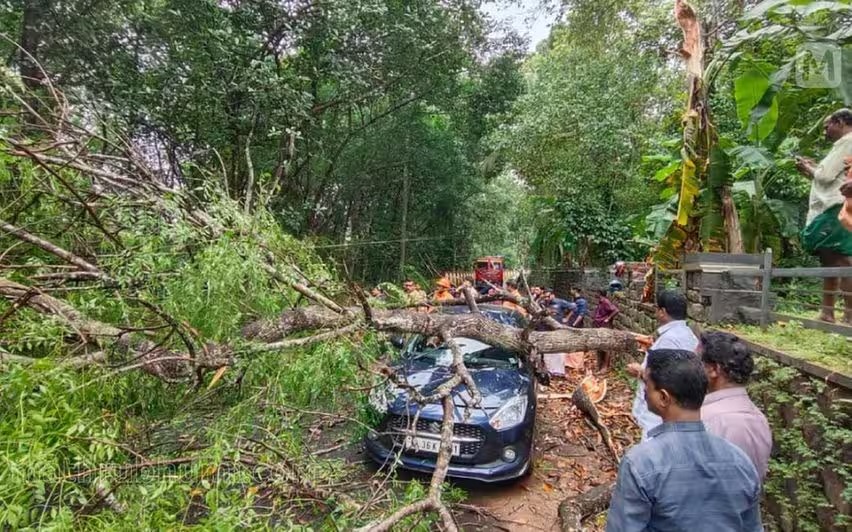 തോട്ടുവയിൽ ഓടിക്കൊണ്ടിരുന്ന കാറിനു മുകളില്‍ മരംവീണു; വാഹനത്തിലുണ്ടായിരുന്നവര്‍ അദ്ഭുതകരമായി രക്ഷപ്പെട്ടു