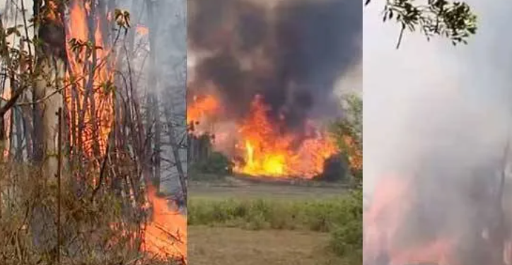 ഇടിമിന്നലേറ്റ് കൂറ്റൻ മരം കത്തി