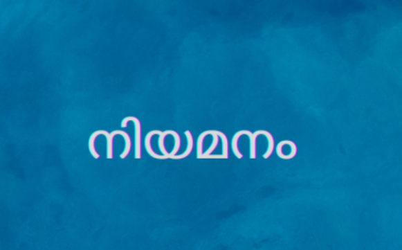 തൊഴിൽമേളയിൽ 30 പേർക്ക് നിയമനം