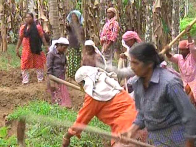 തൊഴിലുറപ്പ് പദ്ധതിയില്‍ ഇനി പുല്ലുചെത്തലും കാടുവെട്ടുമില്ല പകരം ഉത്പാദനക്ഷമമായ പ്രവൃത്തികള്‍