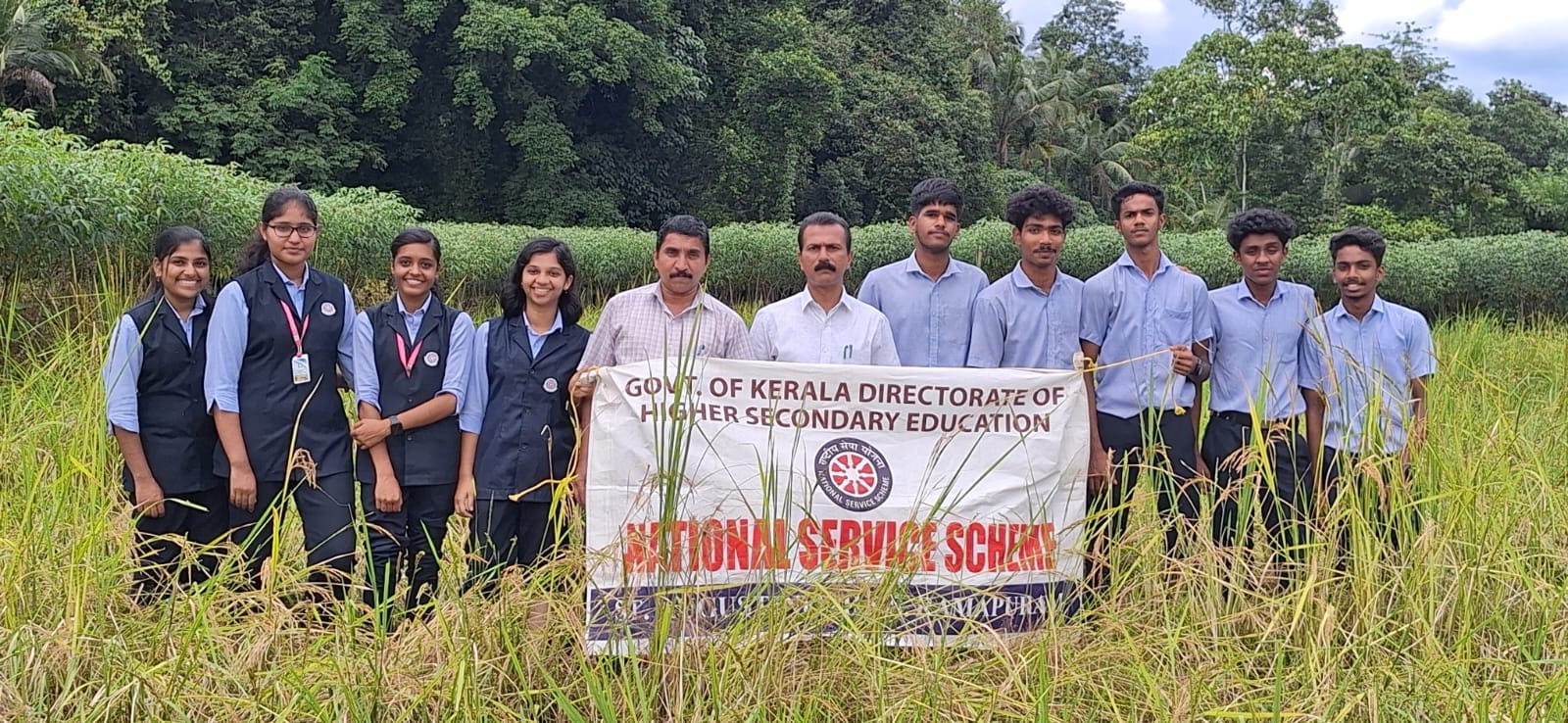 ചുരവേലി പാടത്തെ കൃഷി കൊയ്യാൻ കുട്ടിക്കൂട്ടം