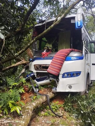 സഞ്ചാരികളുടെ പറുദീസയായി ഇല്ലിക്കൽ കല്ല്; സഞ്ചാരികൾ വർധിക്കുന്നതിനോടൊപ്പം അപകടങ്ങളും പതിവ്