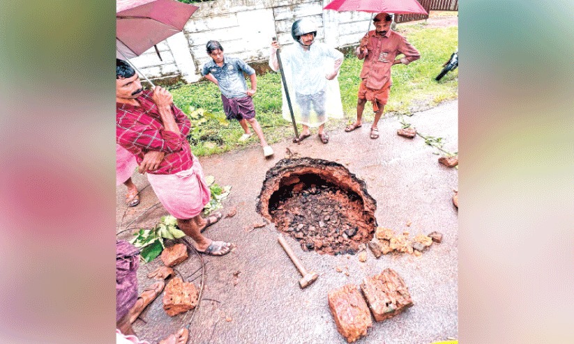 റോഡിന് പണി കൊടുത്ത് മുള്ളൻപന്നി