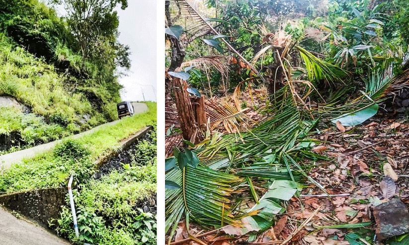 വന്യമൃഗങ്ങളുടെ ശല്യം; പ്ലാക്കത്തടം കോളനിവാസികളുടെ ജീവിതം ദുരിതത്തിൽ