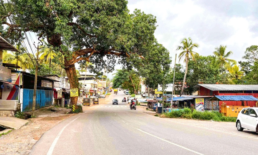 അപകടം പതിവായി ആലഞ്ചേരി-കൈതാടി പാത