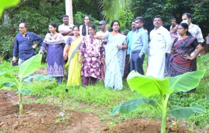 വാഴ കൃഷിനാശം ഉണ്ടായ കാഞ്ഞങ്ങാട് നഗരസഭയിലെ പ്രദേശങ്ങള്‍ ജില്ലാ കളക്ടര്‍ സന്ദര്‍ശിച്ചു