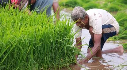 കരപ്പുറം കാഴ്ച്ചാ പ്രദര്‍ശനം: കതിര്‍ ആപ്പില്‍ സൗജന്യമായി രജിസ്റ്റര്‍ ചെയ്യാം