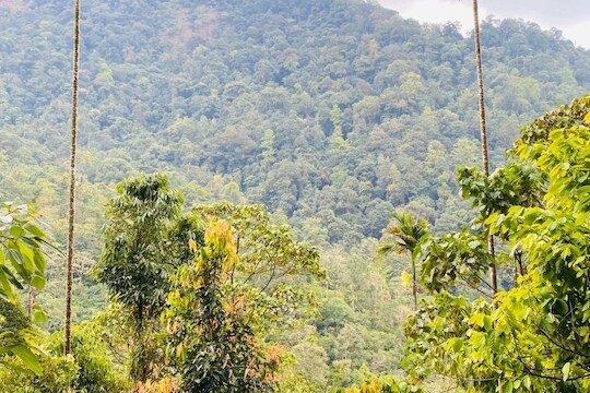 വനം വകുപ്പിന് അമിതാധികാരങ്ങൾ നൽകുന്ന വനനിയമ ഭേദഗതി ബിൽ പിൻവലിക്കണം: കേരള കർഷക യൂണിയൻ എം സംസ്ഥാന കമ്മിറ്റി