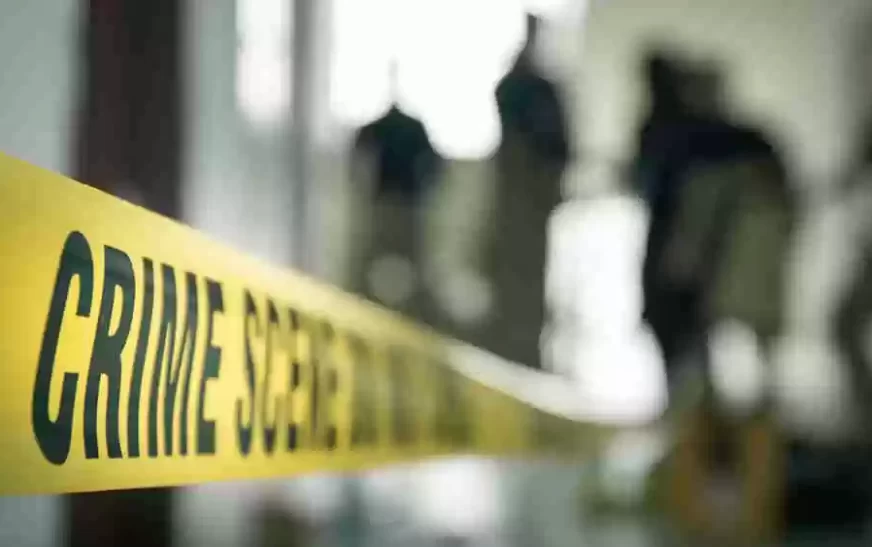 ഒരുമിച്ചിരുന്ന് കൊലപാതക ഡോക്യുമെ​ന്ററി കണ്ടു; പിന്നീട് സംഭവിച്ചത് നാടിനെ നടുക്കിയ അരും കൊല