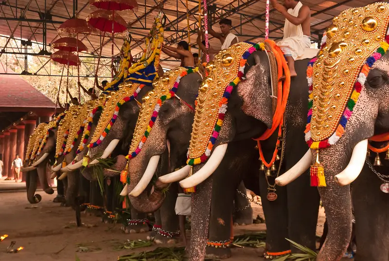 ഉത്സവങ്ങളിൽ ആനകളെ കുറയ്ക്കാൻ ഒരുങ്ങുന്നു എന്ന വാർത്തകൾക്ക് പിന്നാലെ വിമർശനവുമായി പാറമേക്കാവ്, തിരുവമ്പാടി ദേവസ്വങ്ങൾ