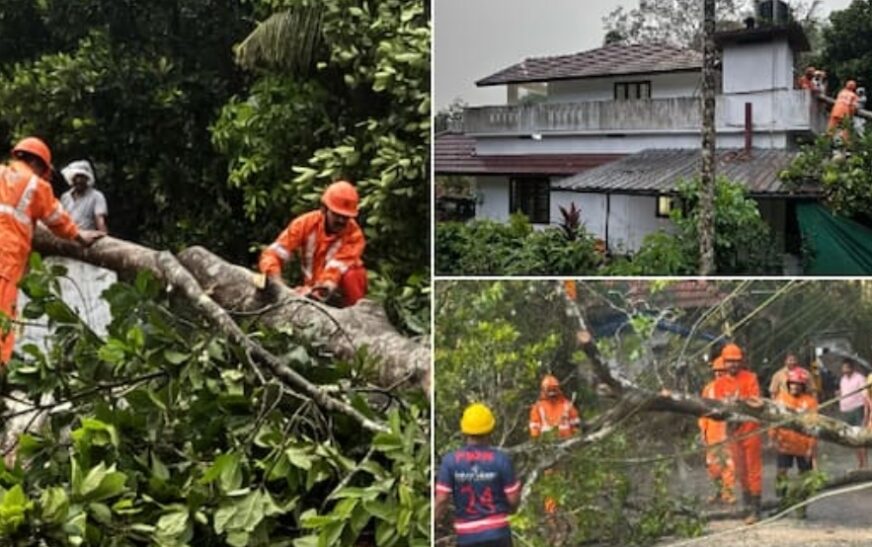 വേനൽ മഴയ്ക്കിടെ വീടിന് മുകളിലേയ്ക്ക് മരം വീണു; ഇലക്ട്രിക് ലൈനിന് മുകളിൽ തെങ്ങ് വീണു; വയനാട്ടിൽ പലയിടത്തും നാശനഷ്ടം