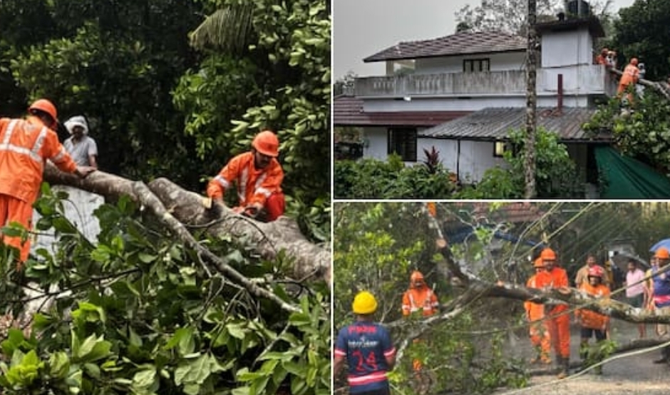 വേനൽ മഴയ്ക്കിടെ വീടിന് മുകളിലേയ്ക്ക് മരം വീണു; ഇലക്ട്രിക് ലൈനിന് മുകളിൽ തെങ്ങ് വീണു; വയനാട്ടിൽ പലയിടത്തും നാശനഷ്ടം