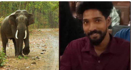 കാ​ട്ടാ​ന​യാ​ക്ര​മ​ണം ; അ​തി​ര​പ്പി​ള്ളി​യി​ൽ യു​വാ​വി​ന് ദാ​രു​ണാ​ന്ത്യം