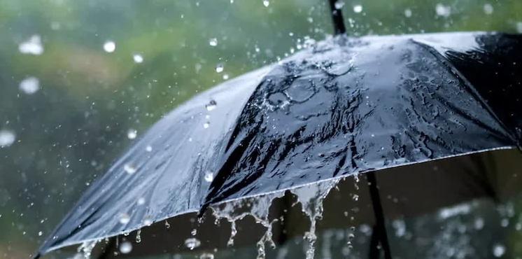 സംസ്ഥാനത്ത് ശക്തമായ മഴയ്ക്ക് സാ​ധ്യ​ത