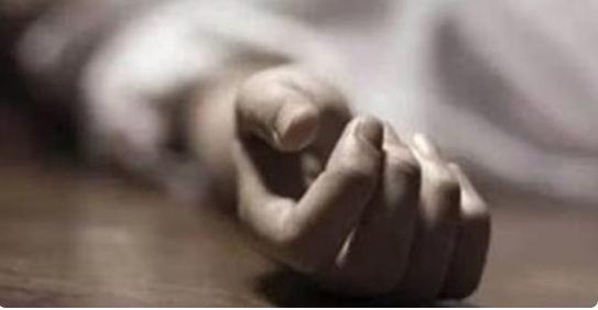 വാ​ഹ​നാ​പ​ക​ട​ത്തെ തു​ട​ർ​ന്ന് ചി​കി​ത്സ​യി​ലാ​യി​രു​ന്ന വീ​ട്ട​മ്മ മ​രി​ച്ചു