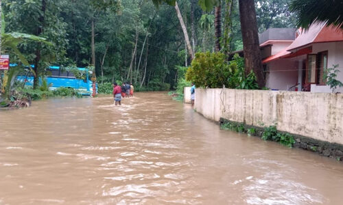 കനത്ത മഴ;പത്തനംതിട്ടയിൽ വിവിധയിടങ്ങളിൽ വെള്ളം കയറി