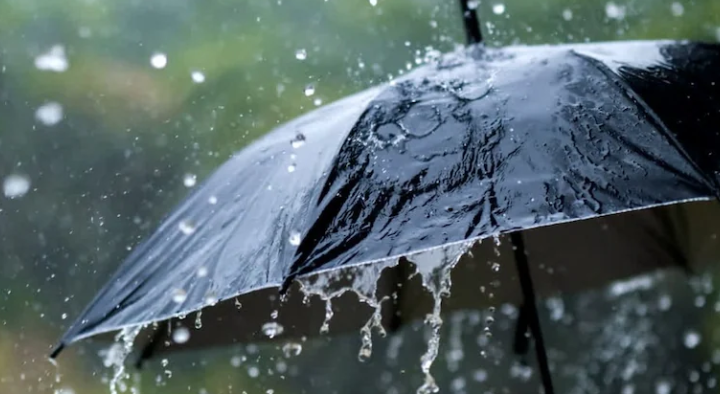 സം​സ്ഥാ​ന​ത്ത് ഇ​ന്നും ശ​ക്ത​മാ​യ മ​ഴ​യ്ക്ക് സാ​ധ്യ​ത