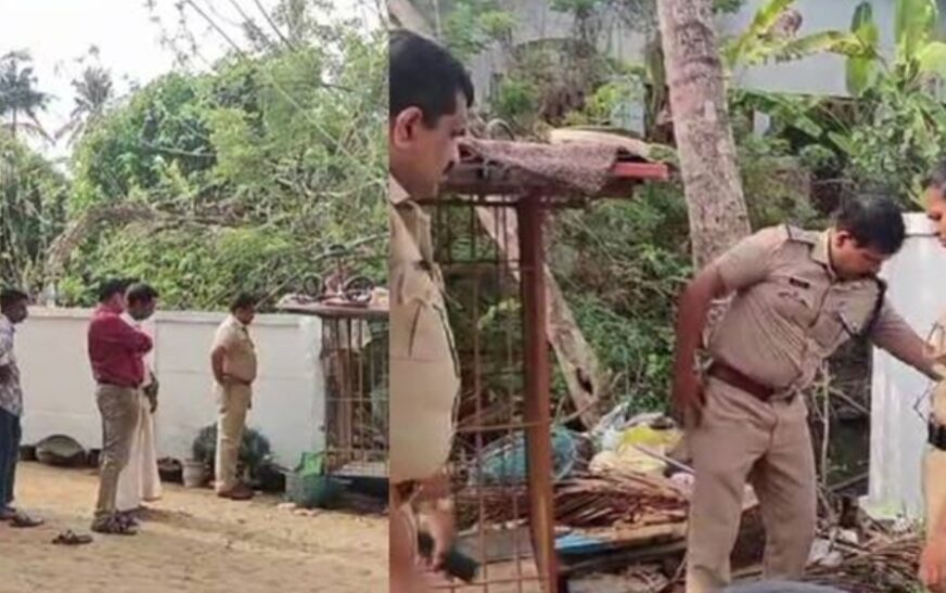 കളിക്കുന്നതിനിടെ വീടിന് സമീപമുള്ള തോട്ടിൽ വീണു; എറണാകുളത്ത് രണ്ടര വയസുകാരിക്ക് ദാരുണാന്ത്യം