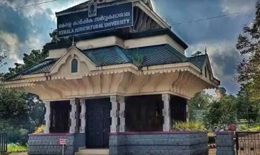 അനധ്യാപക വിഭാഗം ജീവനക്കാരുടെ തസ്തിക വെട്ടി കുറയ്ക്കൽ; കാർഷിക സർവകലാശാലയുടെ നടപടി മരവിപ്പിച്ച് ഹൈക്കോടതി